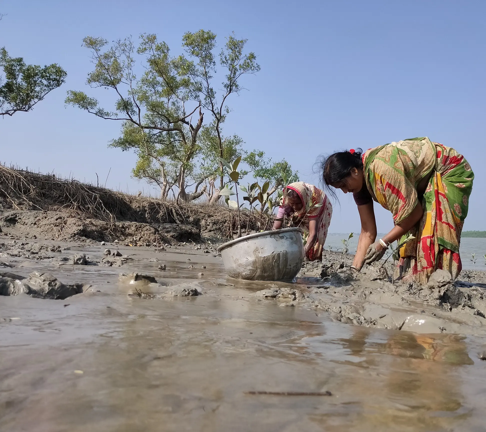 Women in action to stop soil erosion